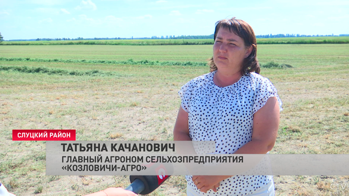«Если будут стоять такие жаркие дни». За какой срок белорусские аграрии готовы завершить уборку зерновых?-4
