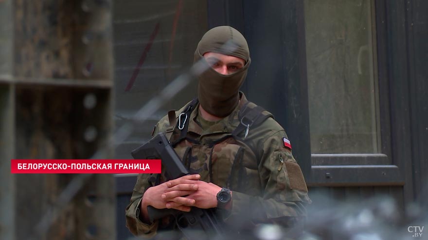 Зубр будет вынужден уйти в другие места. Вот к каким последствиям для экологии может привести забор на границе с ЕС-13