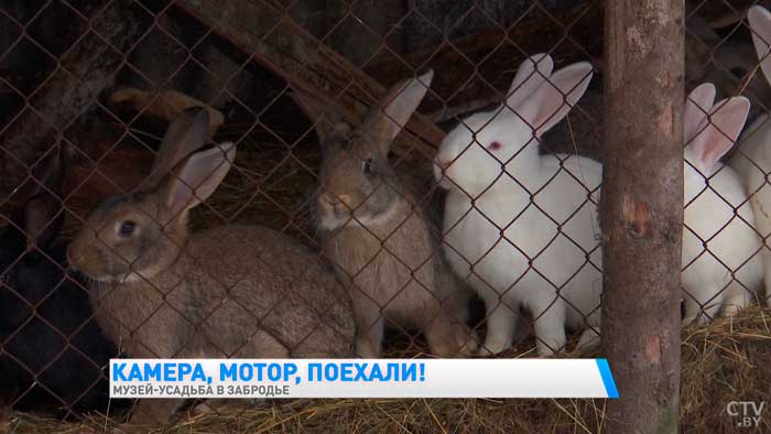 Создали музей Первой мировой и музей ретро-техники. Это всё можно увидеть в Забродье-31