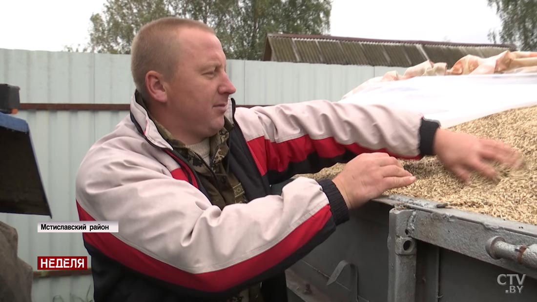 «Если есть лишнее, то всегда сдам». Жители Мстиславского района рассказали, как выгодно продать овощи-31
