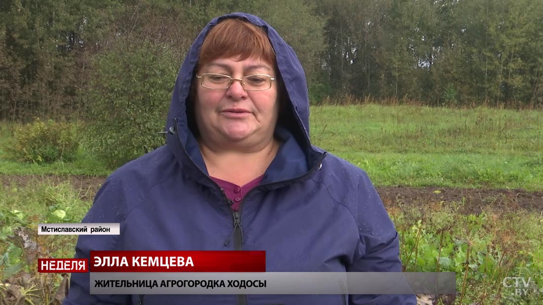 «Если есть лишнее, то всегда сдам». Жители Мстиславского района рассказали, как выгодно продать овощи-1