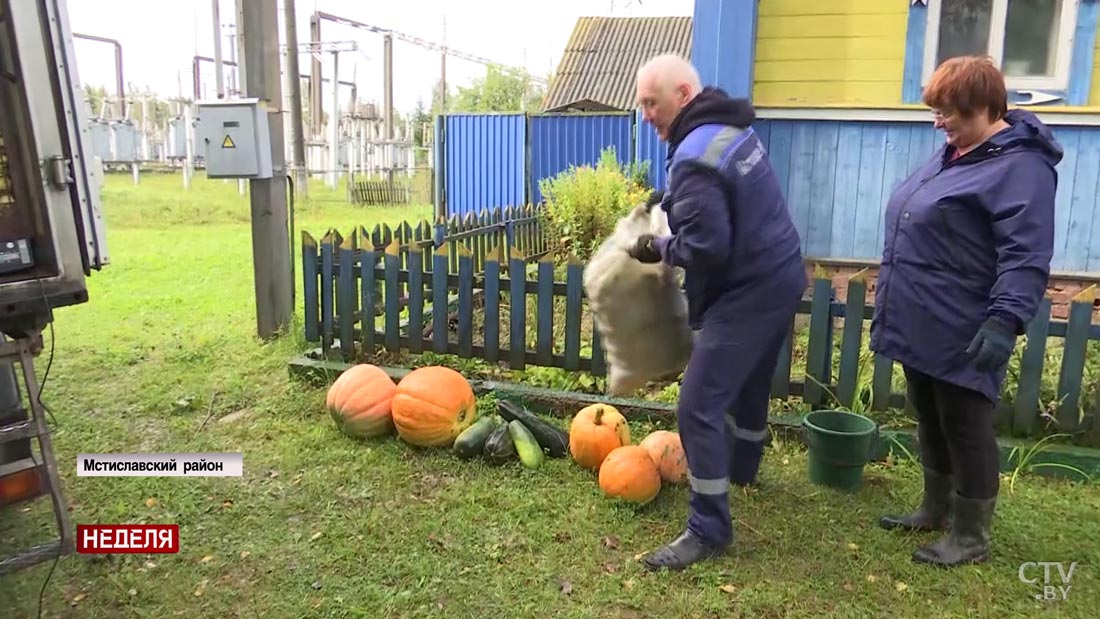«Если есть лишнее, то всегда сдам». Жители Мстиславского района рассказали, как выгодно продать овощи-4