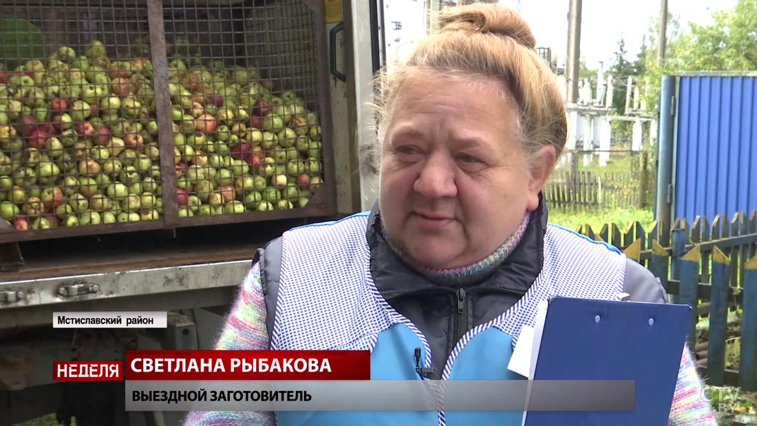 «Если есть лишнее, то всегда сдам». Жители Мстиславского района рассказали, как выгодно продать овощи-16