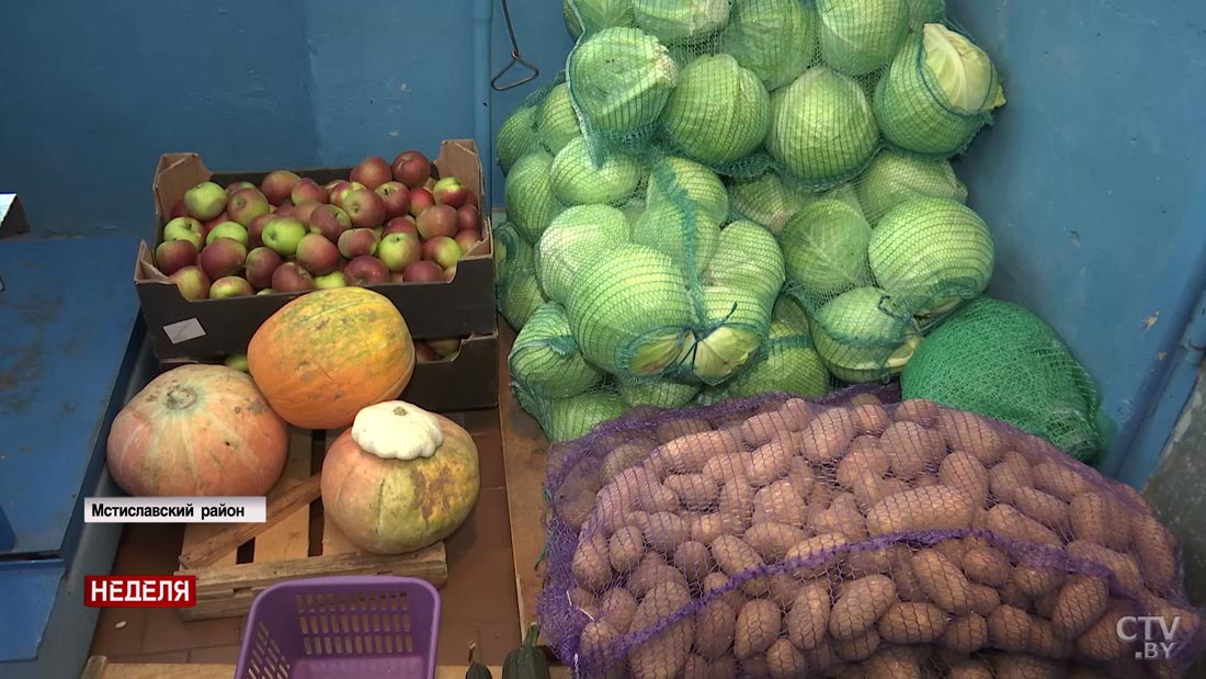 «Если есть лишнее, то всегда сдам». Жители Мстиславского района рассказали, как выгодно продать овощи-22