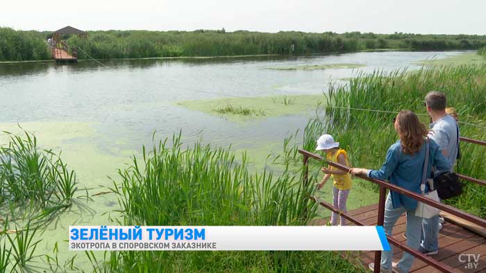 Здесь водится вертлявая камышовка. Чем ещё заказник «Споровский» удивляет туристов?-1