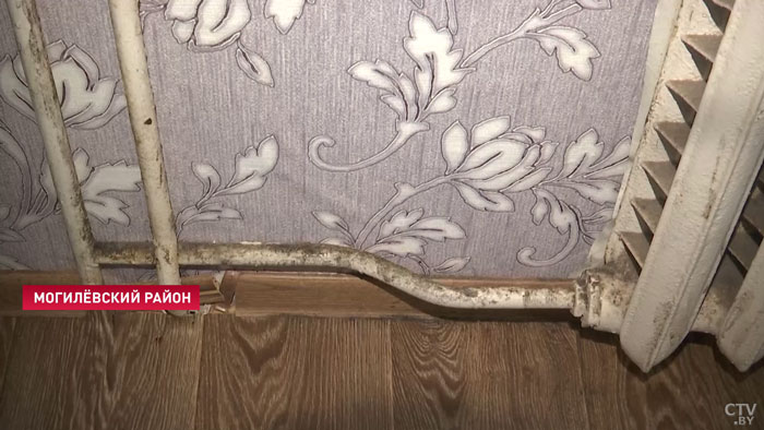 Стена вся мокрая, всё в плесени. В квартире молодой семьи вода на полу: кто в этом виноват?-4