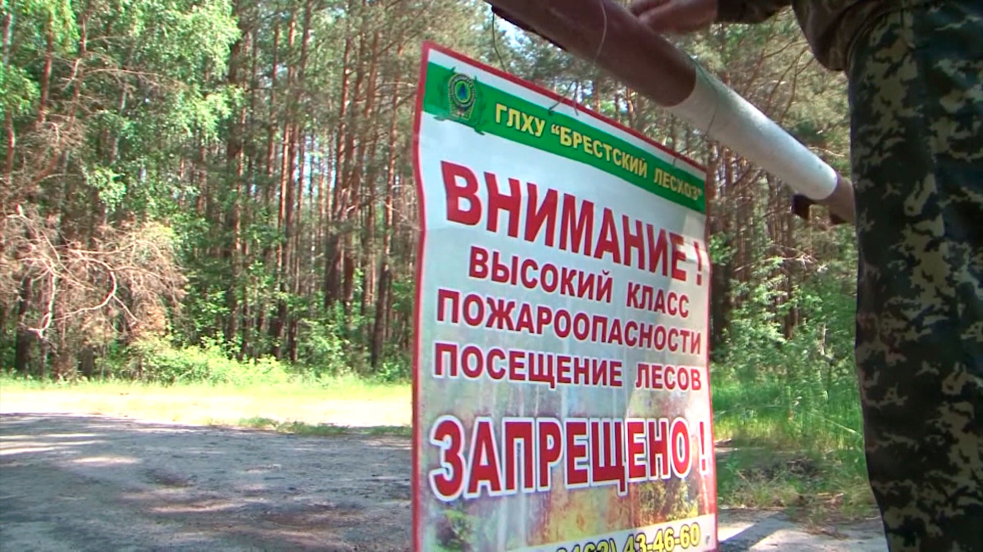 Запреты и ограничения на посещение лесов действуют в 90 районах Беларуси