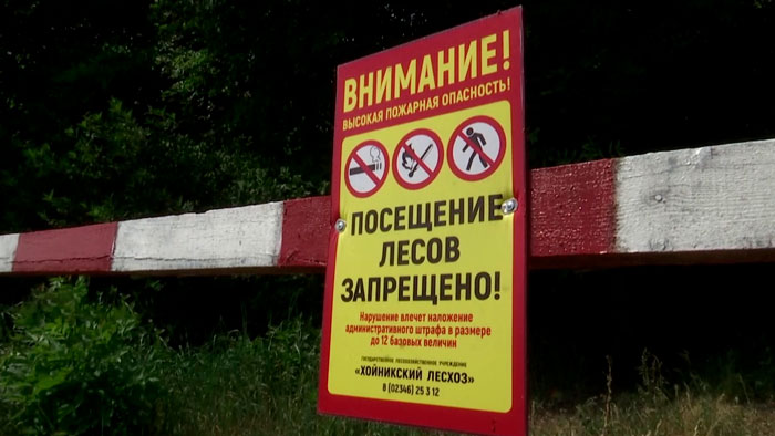В 16 районах Беларуси категорически запрещено посещение лесов