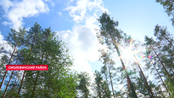 В 18 районах Минской области действуют запреты и ограничения на посещение лесов-4 В 18 районах Минской области действуют запреты и ограничения на посещение лесов-4