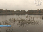 Щука, карп, карась: в Минское море выпущены тонны рыбы