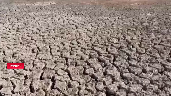 В Стамбуле из-за засухи уменьшились запасы воды