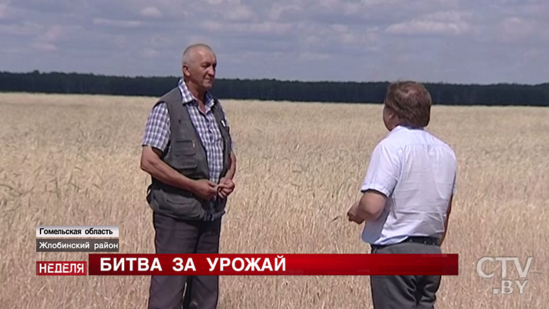 «Такое впервые за 40 с лишним лет». Помогут ли дождевальные установки и древние обряды спасти урожай? Репортаж СТВ из Гомельской области-4