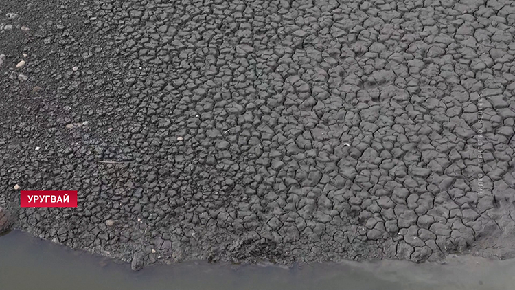 Засуха в Уругвае: главное водохранилище страны заполнено на 10%