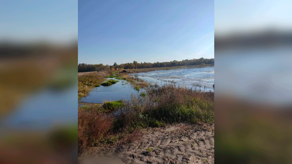 272 га урожая не убрали  – поля затопило водой из рек. Как решили проблему в хозяйстве?-7