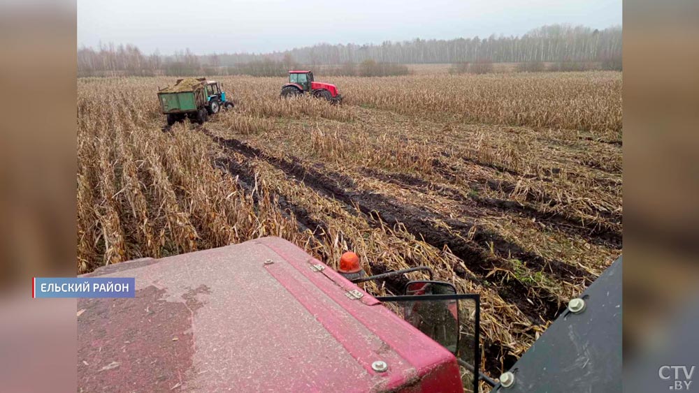 272 га урожая не убрали  – поля затопило водой из рек. Как решили проблему в хозяйстве?-1