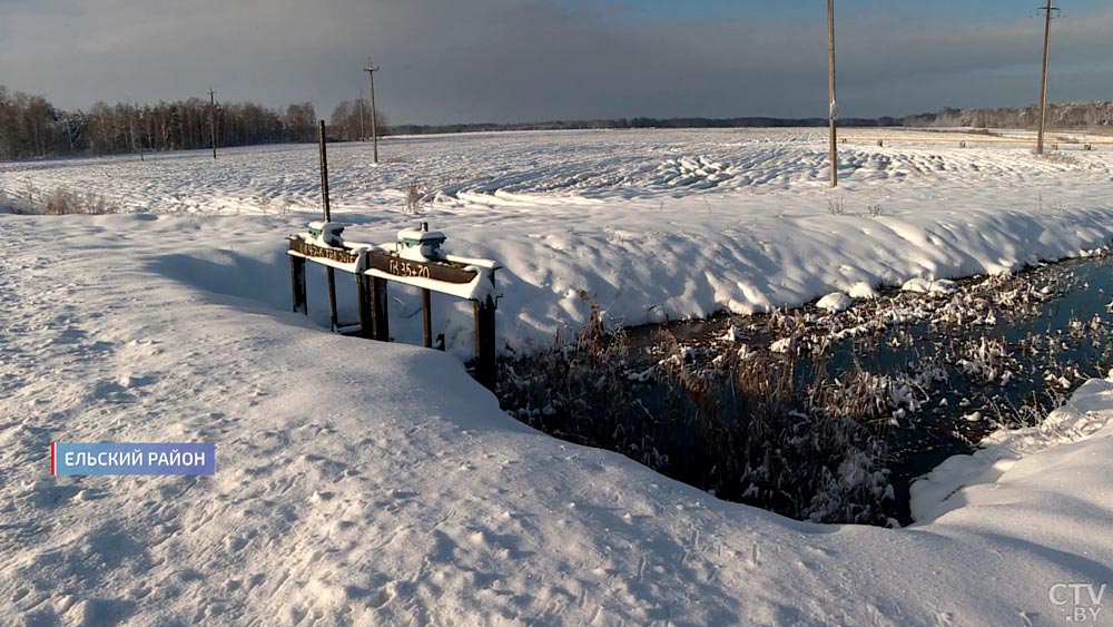 272 га урожая не убрали  – поля затопило водой из рек. Как решили проблему в хозяйстве?-16