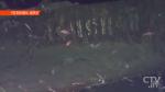 200 тонн золота на борту? В водах Южной Кореи нашли затонувший военный корабль Российской империи