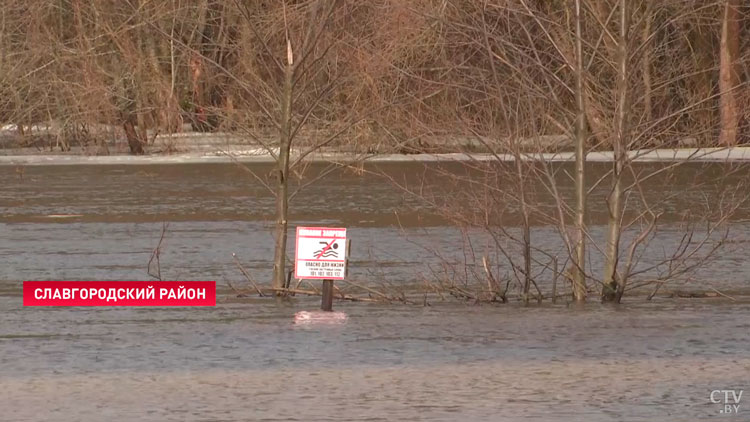 В Могилёвской области подтопило мосты и дороги. Уровень воды в Днепре поднялся на 1,5 метра за сутки-7