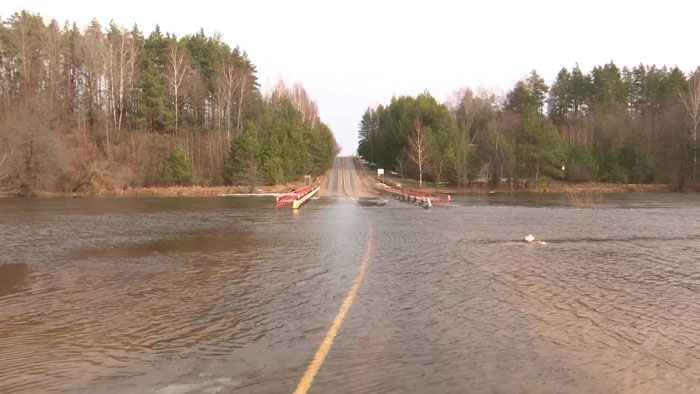 В Могилёвской области подтопило мосты и дороги. Уровень воды в Днепре поднялся на 1,5 метра за сутки