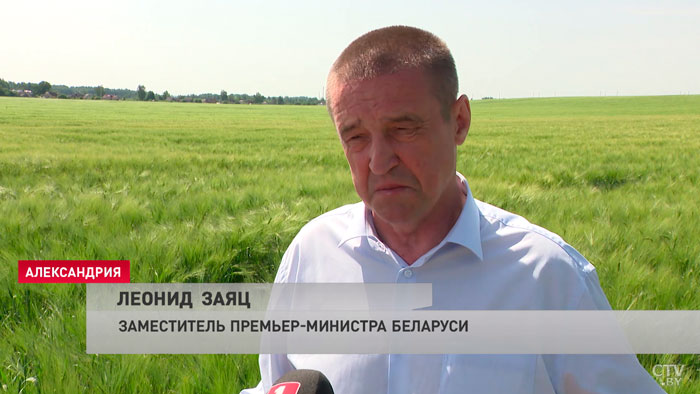 Леонид Заяц: сейчас в структуре озимых необходимо уделить место ячменю-4