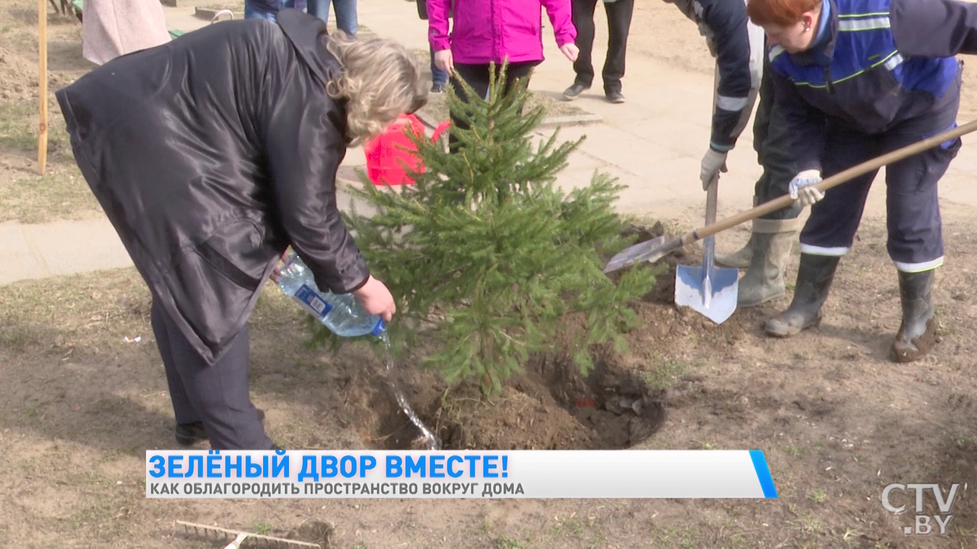 Зелёный двор вместе. Как облагородить территорию вокруг дома в Минске-1