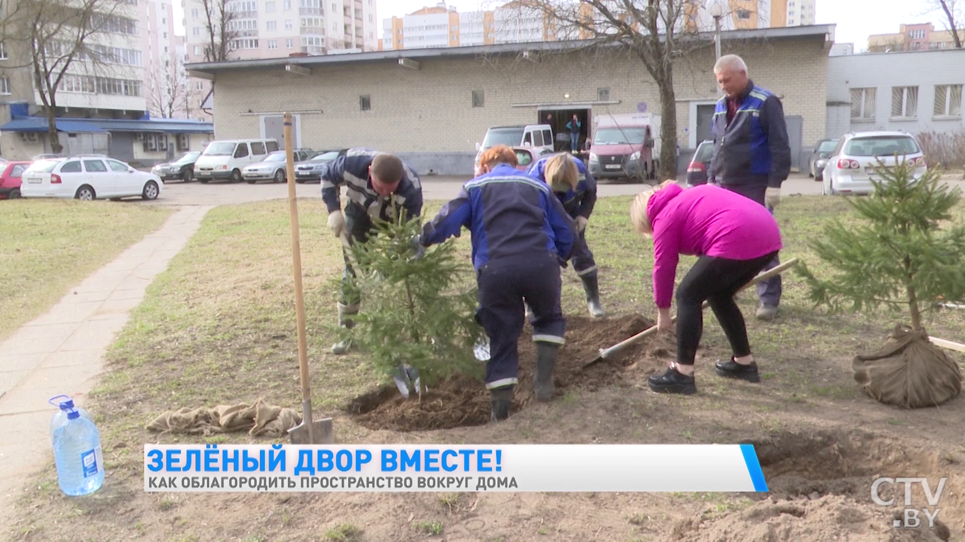 Зелёный двор вместе. Как облагородить территорию вокруг дома в Минске-7