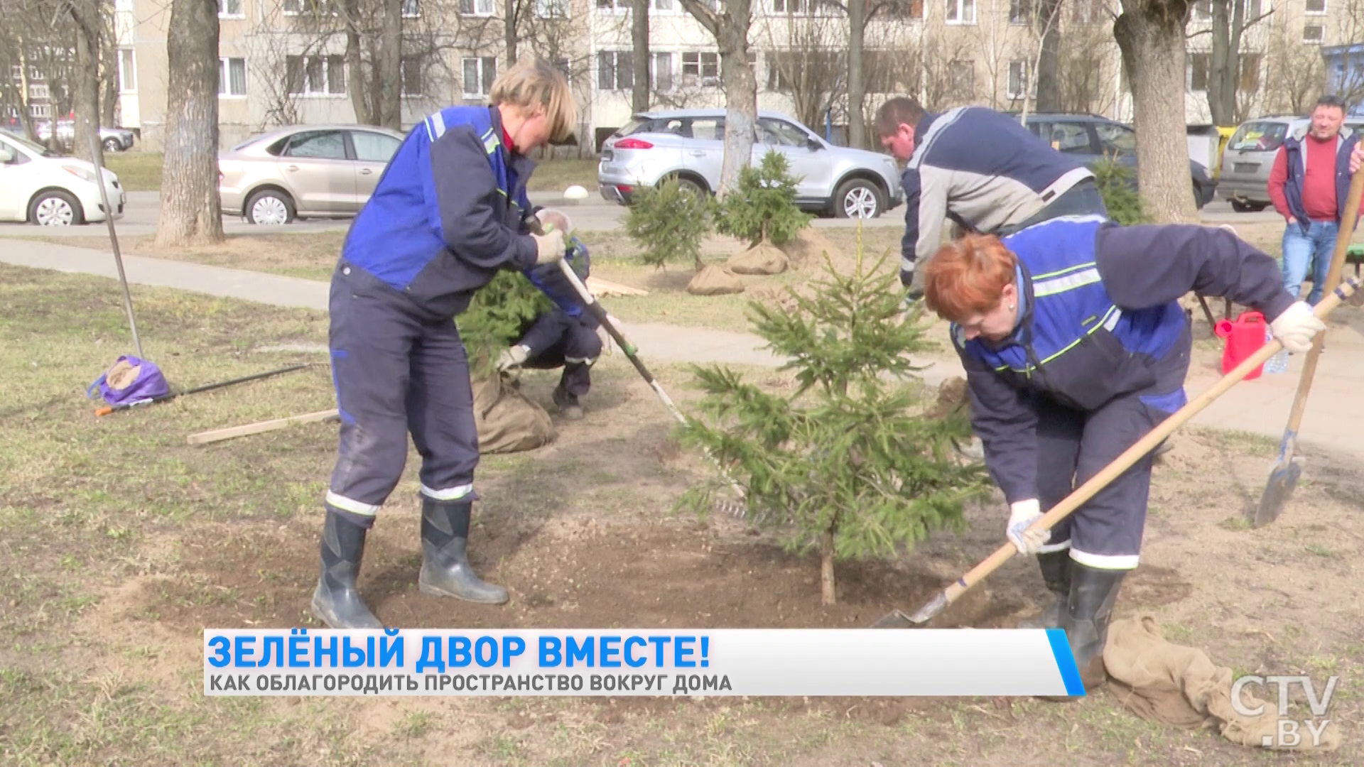 Зелёный двор вместе. Как облагородить территорию вокруг дома в Минске-16