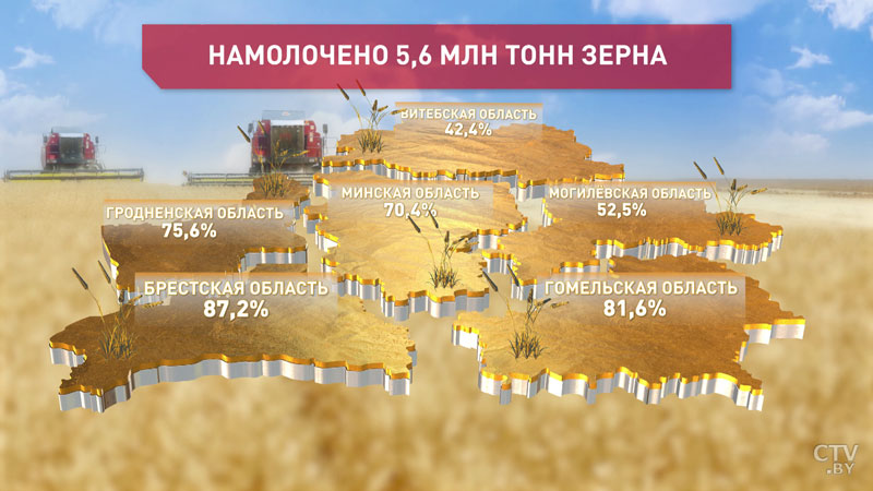 Белорусские аграрии намолотили 5,6 миллионов тонн зерна -1