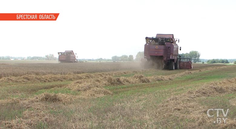 В Минской области намолочено более 60 % площадей зерновых-1