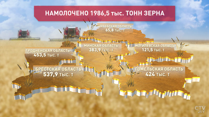 В Беларуси убрано четверть площадей зерновых-1 В Беларуси убрано четверть площадей зерновых-1