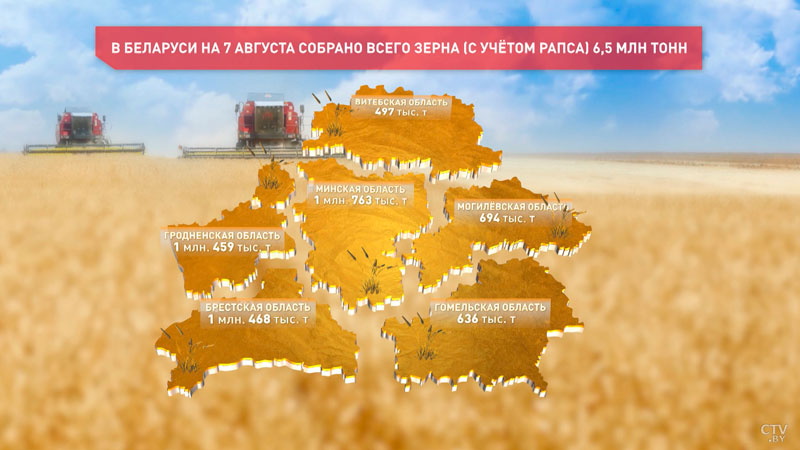 6,5 млн тонн зерна убрали белорусские аграрии с учётом рапса-1