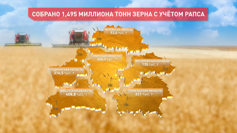Аграрии Брестской области намолотили почти треть от общего объёма зерна