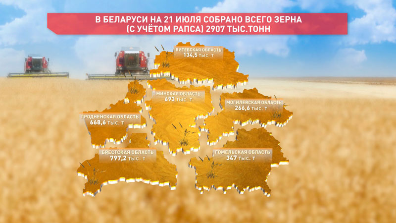 Белорусские аграрии приближаются к 3-миллионному намолоту зерна