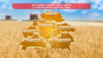 Более 4,4 млн тонн зерна убрали в Беларуси