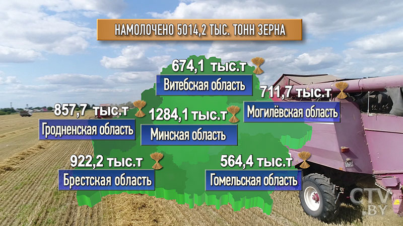 Почти 5 млн тонн зерна намолотили аграрии Беларуси