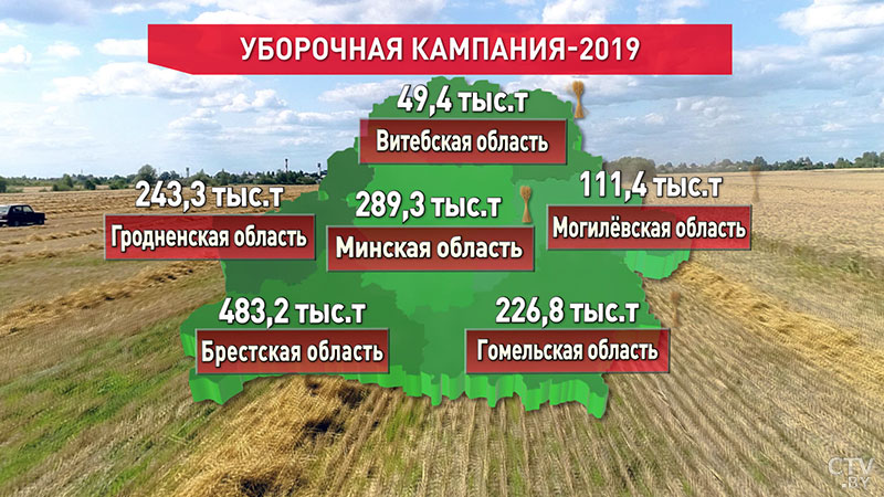 Аграрии Беларуси убрали уже более 20 % площадей зерна: лидирует Брестская область-1