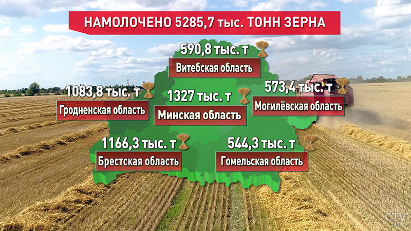 Аграрии Беларуси убрали уже 76% площадей зерновых-1