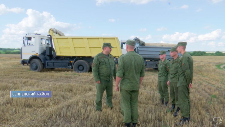 Помогают даже военнослужащие. Кто они – герои жатвы-2023? Пообщались с белорусскими аграриями-31