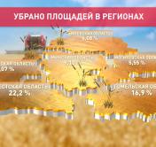 В Беларуси возрастают темпы жатвы. Какая урожайность в этом году?