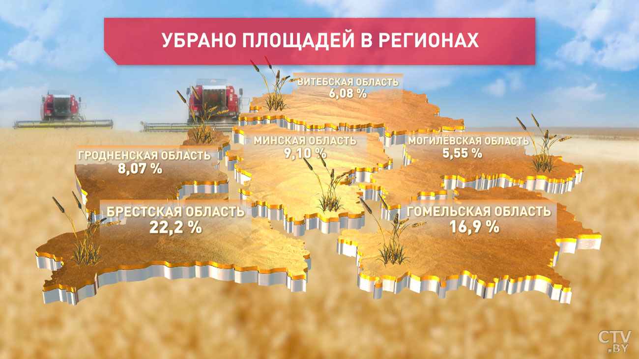 В Беларуси возрастают темпы жатвы. Какая урожайность в этом году?-1
