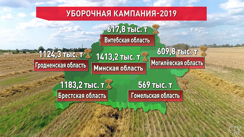 Аграрии Беларуси убрали уже 80 % зерновых: в лидерах – Минская область-1