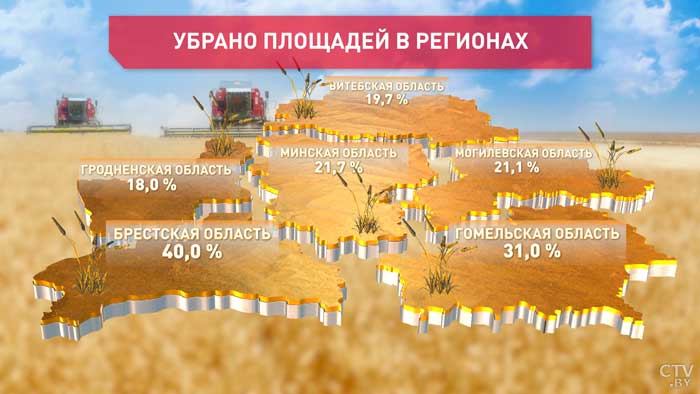 Техника в поля вышла позже, но урожай хороший. Белорусские аграрии собрали 1,8 млн тонн зерна-1