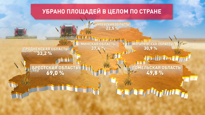 В Гомельской области собрали половину урожая зерновых