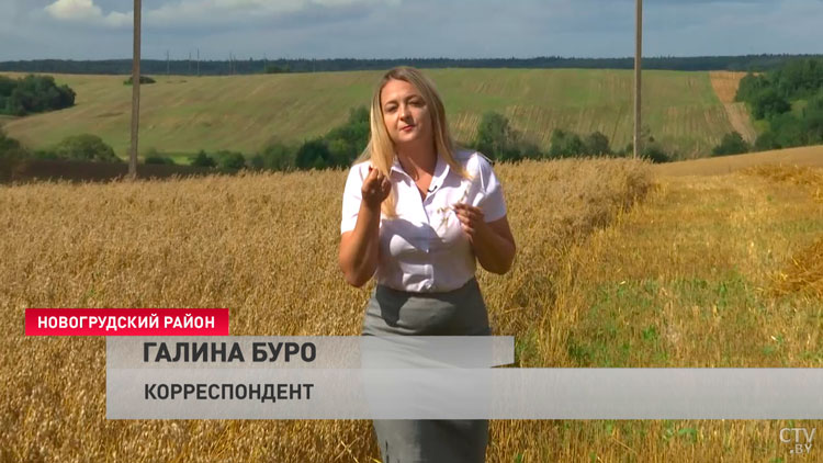 Своя климатическая зона и рекорды по намолоту. Аграрии Новогрудского района близки к завершению уборочной-1
