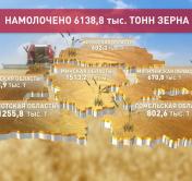 В Беларуси собрали с полей более 6 млн тонн зерна