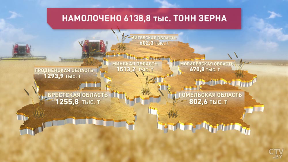 В Беларуси собрали с полей более 6 млн тонн зерна-1