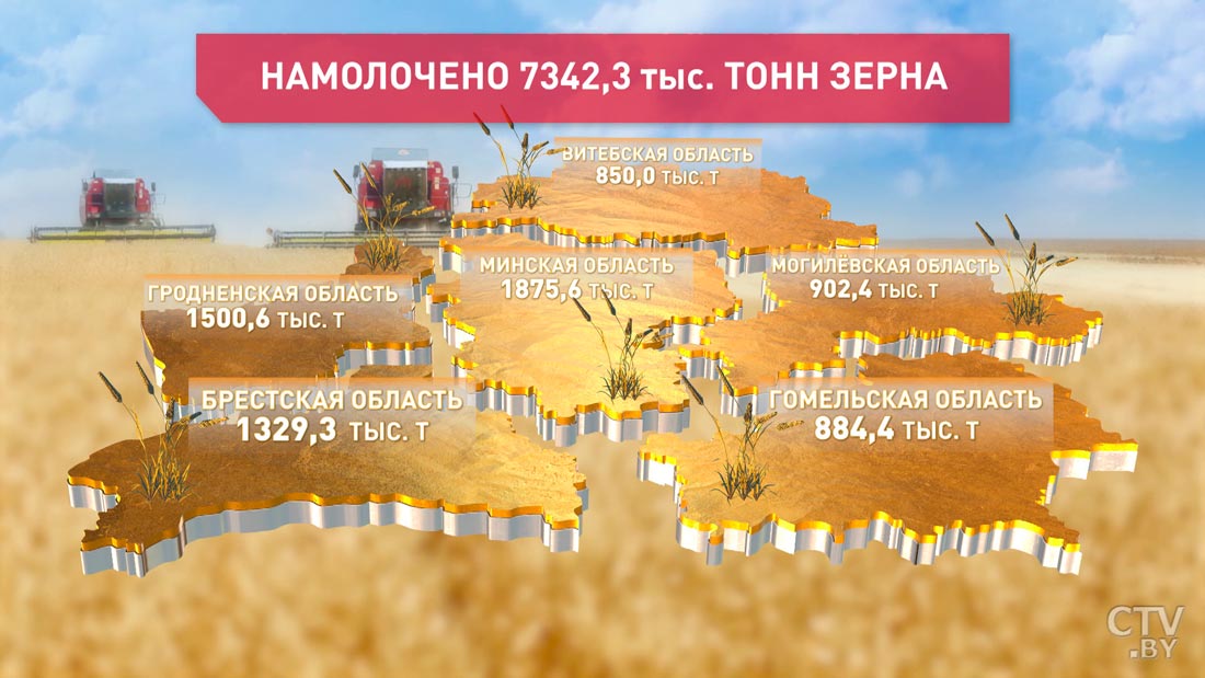 Уборочная кампания. Аграрии собрали более 7 млн 340 тысяч тонн зерна-1