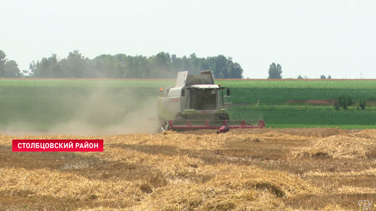 В Минской области намолочено более 165 тысяч тонн зерна-1