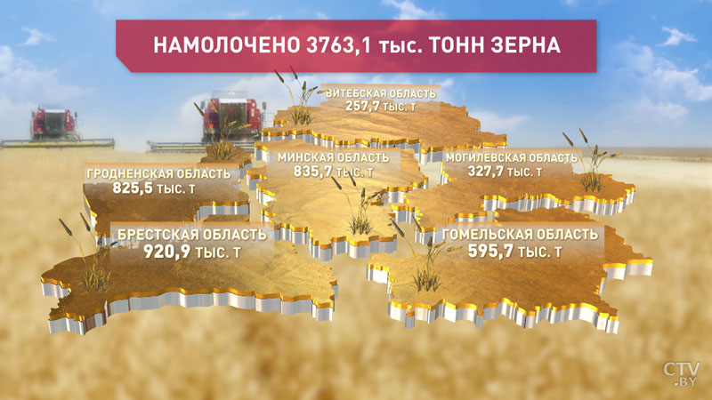 Белорусские аграрии убрали 3 миллиона 763 тысячи тонн зерна-1