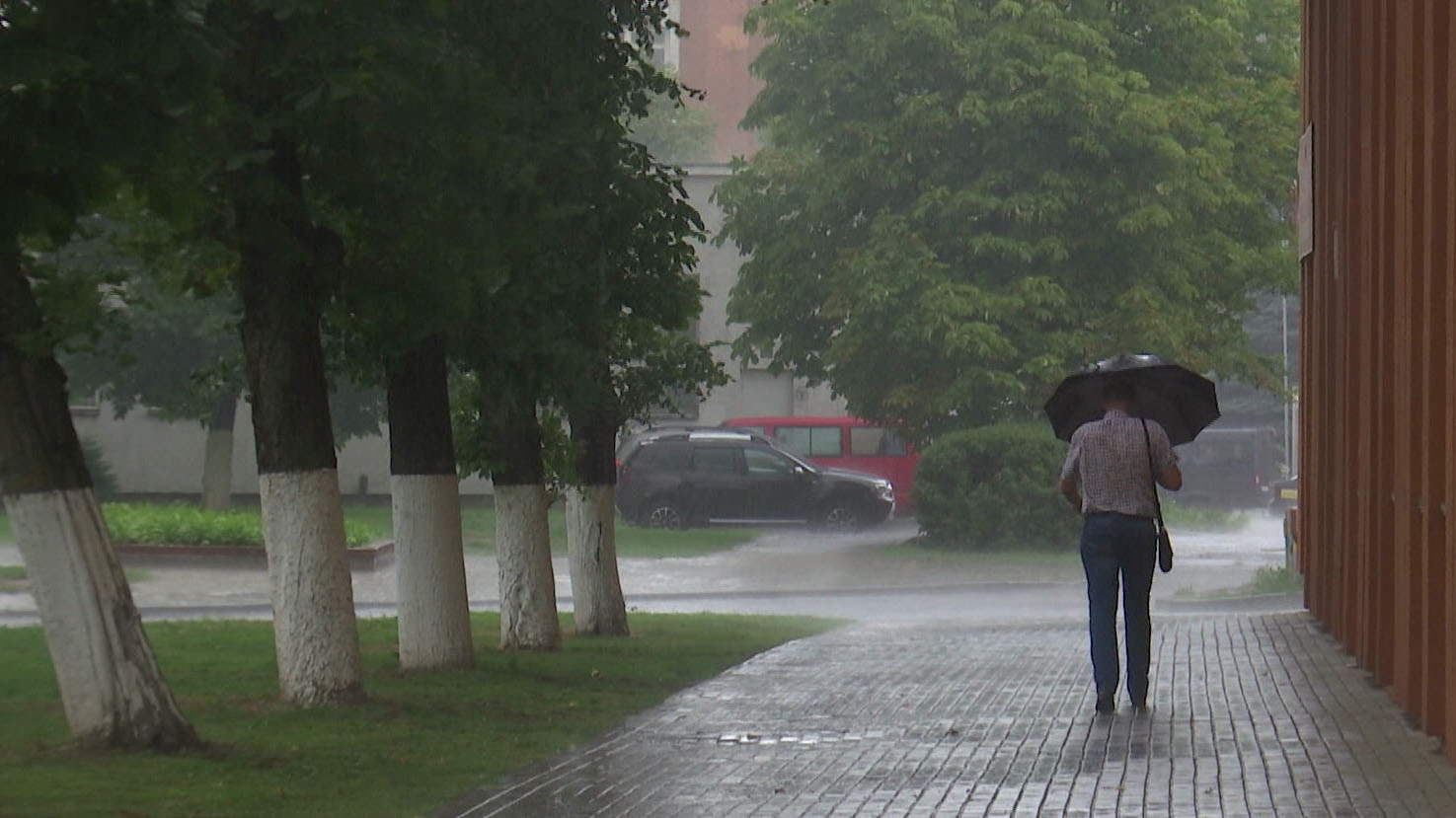 Держите зонтики наготове – следующая неделя принесёт осадки. А ждать ли белорусам жару в конце июля? Держите зонтики наготове – следующая неделя принесёт осадки. А ждать ли белорусам жару в конце июля?